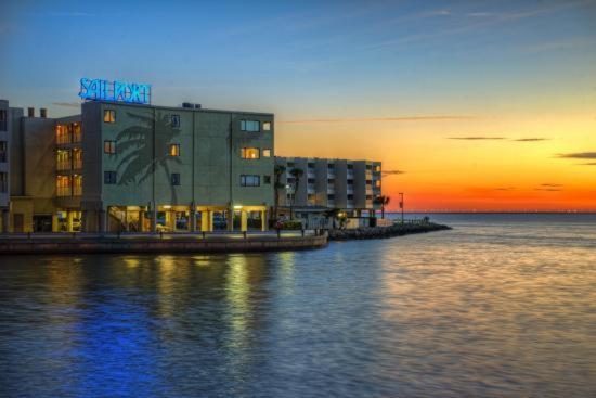 410-Gorgeous Views, Waterfront, Wifi, Pool And Close To Bucs Stadium Tampa Buitenkant foto